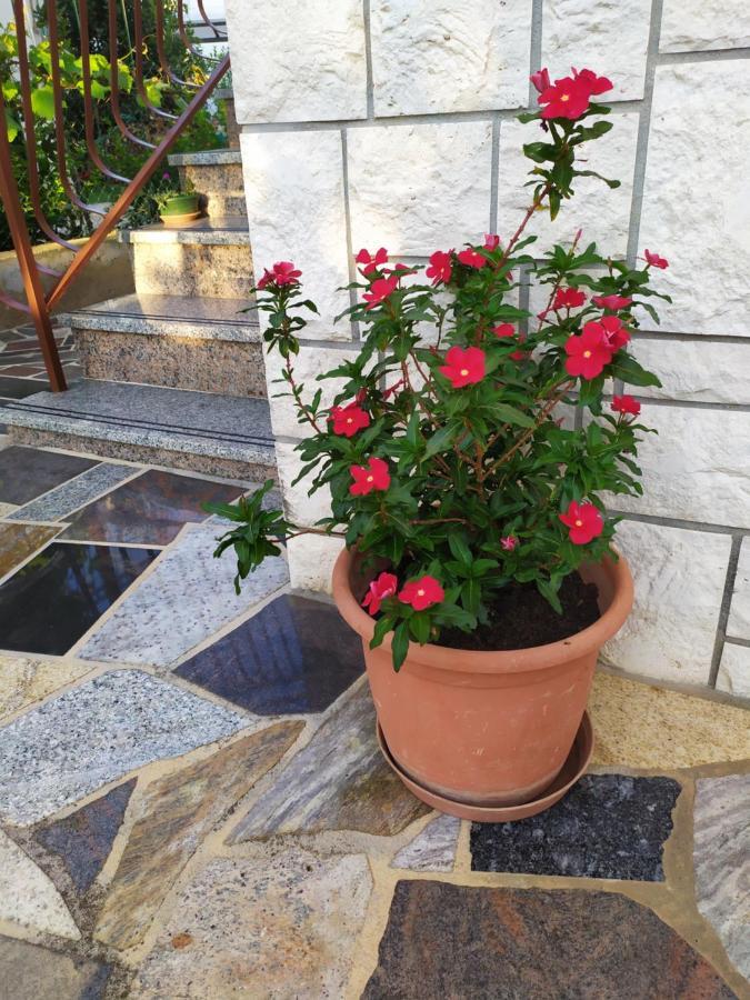 Apartments Samodol Vodice Dış mekan fotoğraf